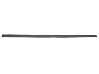 Toyota 75732-02220 Body Side Molding, Outside Driver Side