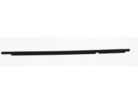 Toyota 75730-02190 Belt Molding, Black, Passenger Side