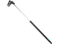 Toyota 68960-19585 Lift Cylinder, Driver Side
