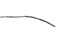 Toyota 67895-0E020 Weatherstrip, Passenger Side