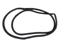 Toyota 62332-60081 Surround Weatherstrip, Driver Side