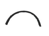 Toyota 75601-10010 Wheel Opening Molding, Passenger Side