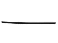 Toyota 68170-90A01 Belt Weatherstrip, Inner