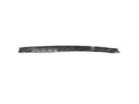 Toyota 68173-35040 Belt Weatherstrip, Inner Passenger Side