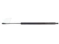 Toyota 68905-09025 Lift Cylinder, Driver Side