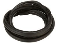 Toyota 62312-0C010 Door Weatherstrip, Driver Side