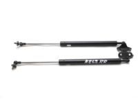 Toyota 68908-39015 Lift Cylinder, Driver Side