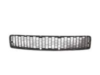 Toyota 53112-21030 Lower Grille