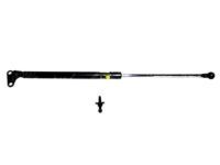 Toyota 68950-69055 Stay Assembly, Back Door, Passenger Side