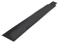 Toyota 75921-35020 Black Out Tape, Passenger Side