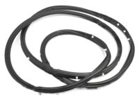 Toyota 62332-0C040 Door Weatherstrip, Driver Side