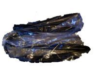 Toyota 68141-12170 Channel, Passenger Side