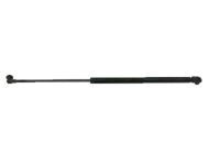 Toyota 53450-0C012 Lift Cylinder, Driver Side