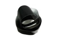 Toyota 75923-02020 Black Out Tape, Passenger Side