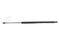 Toyota 68905-09020 Lift Cylinder, Passenger Side
