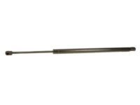 Toyota 68908-0W091 Lift Cylinder, Driver Side