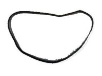 Toyota 62311-0C020 Door Weatherstrip, Passenger Side