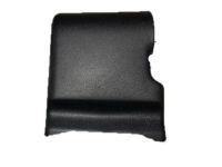 Toyota 71629-60410-C0 Hinge Cover, Rear