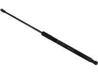 Toyota 68950-0W542 Lift Cylinder, Passenger Side