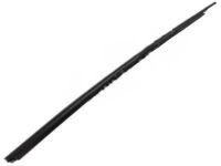 Toyota 68160-52110 Belt Molding, Outer Passenger Side