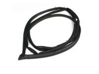 Toyota 62312-AA020 Weatherstrip On Body, Driver Side