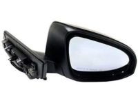 Toyota 87910-F4040 Mirror Assembly, Passenger Side