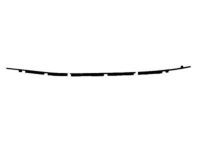 Toyota 75710-42010 Belt Weatherstrip, Passenger Side