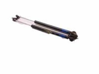 Toyota 68960-49025 Lift Cylinder, Driver Side
