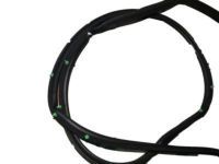 Toyota 67871-AC030 Door Weatherstrip, Passenger Side