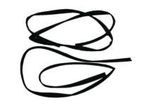 Toyota 68141-90A03 Run Channel, Front Toyota 68141-90A03 Run Channel, Front