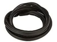 Toyota 68292-35041 Belt Weatherstrip, Outer