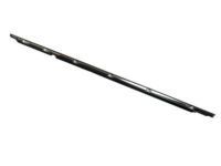 Toyota 75730-60020 Belt Molding, Passenger Side