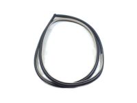 Toyota 62311-48060-B0 Weatherstrip, Front Door Opening Trim, Passenger Side
