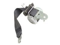 Toyota 73360-06202-B0 Outer Belt, Gray