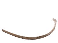 Toyota 75552-04082 Drip Molding, Driver Side