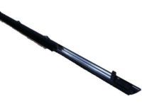 Toyota 75710-AC020 Belt Molding, Passenger Side