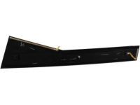 Toyota 75765-08012 Window Molding, Rear Passenger Side