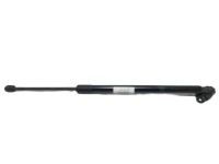 Toyota 68960-08012 Lift Cylinder, Driver Side