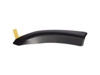 Toyota 75631-04010 Lower Molding, Passenger Side