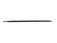 Toyota 68160-52150 Belt Molding, Outer Passenger Side