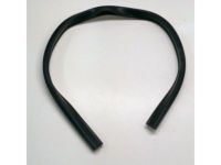 Toyota 69971-60020 Lift Channel Weatherstrip, Front