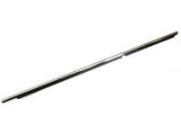 Toyota 75730-06060 Belt Molding, Passenger Side