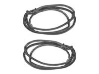 Toyota 67862-42060 Weatherstrip, Front Door, Driver Side