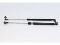 Toyota 53440-69065 Lift Cylinder, Passenger Side