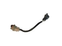 Toyota 81555-48050 Socket & Wire, Rear
