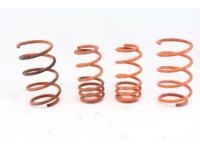 Toyota 48131-21430 Coil Spring, Front