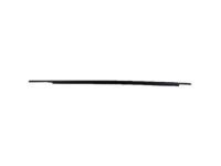 Toyota 75710-47021 Belt Molding, Passenger Side
