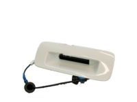Toyota 76802-0C010-A0 Handle, Outside, White, Rear