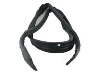 Toyota 63251-14050 Weatherstrip, Front