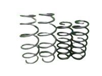 Toyota 48131-52A50 Spring, Front Coil, Passenger Side